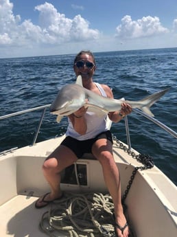 Fishing in Gulfport, Florida