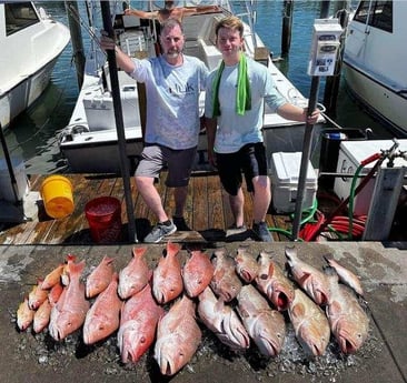 Lane Snapper, Red Grouper, Red Snapper Fishing in Clearwater, Florida