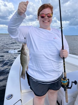 Mangrove Snapper fishing in Fort Myers, Florida