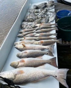 Redfish, Sheepshead fishing in Delacroix, Louisiana
