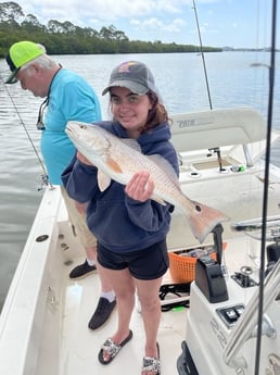 Redfish Fishing in Clearwater, Florida