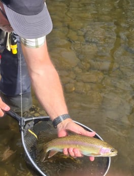 Fishing in Hume, California