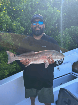 Redfish Fishing in Tampa, Florida