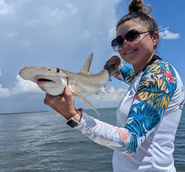 Bonnethead Shark fishing in Tampa, Florida
