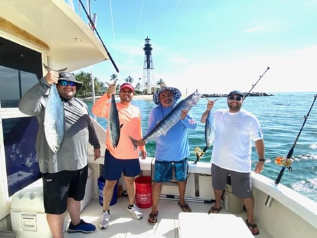 False Albacore, Wahoo Fishing in Pompano Beach, Florida