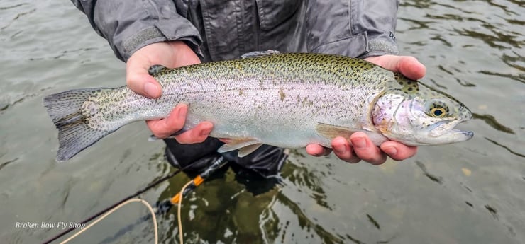 Fishing in Broken Bow, Oklahoma