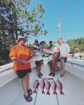 Mangrove Snapper, Red Snapper fishing in Santa Rosa Beach, Florida