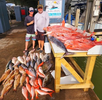 Red Grouper, Red Snapper, Scamp Grouper, Wahoo, Yellowtail Amberjack Fishing in Galveston, Texas