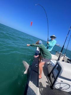 Blacktip Shark Fishing in Galveston, Texas
