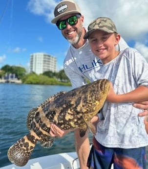 Goliath Grouper Fishing in Sarasota, Florida