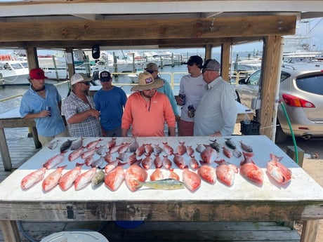 Mahi Mahi, Red Snapper, Scup, Vermillion Snapper Fishing in Gulf Shores, Alabama