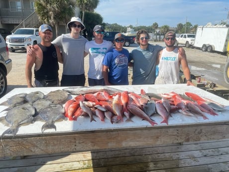 Amberjack, Lane Snapper, Triggerfish, Vermillion Snapper Fishing in Pensacola, Florida