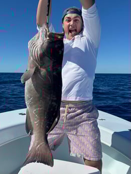 Snowy Grouper Fishing in Marathon, Florida