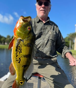 Peacock Bass Fishing in Delray Beach, Florida