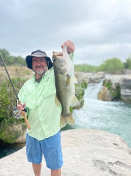 Largemouth Bass Fishing in New Braunfels, Texas