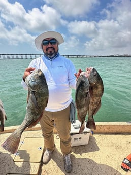 Black Drum Fishing in Port Isabel, Texas