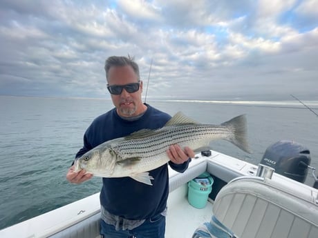 Striped Bass fishing in Chatham, Massachusetts