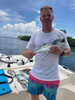 Spanish Mackerel Fishing in St. Petersburg, Florida