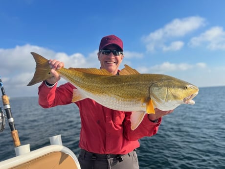 Redfish Fishing in Pensacola, Florida