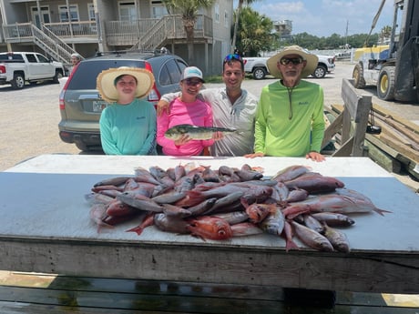 Red Snapper, Rockfish, Scup Fishing in Pensacola, Florida