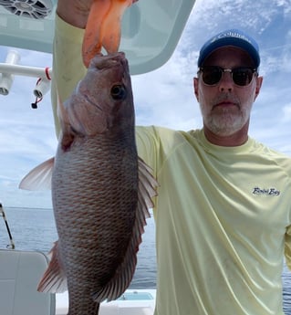 Cubera Snapper fishing in Panama City, Florida