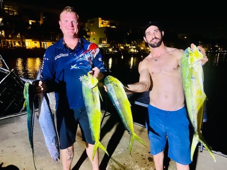King Mackerel / Kingfish, Mahi Mahi / Dorado Fishing in Miami, Florida