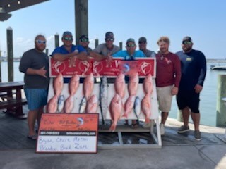 False Albacore, Kingfish, Red Snapper Fishing in Port Aransas, Texas