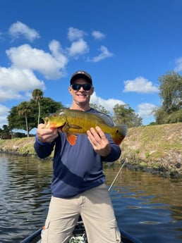 Peacock Bass Fishing in Boca Raton, Florida