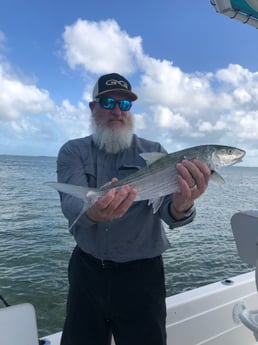 Tarpon fishing in Key West, Florida