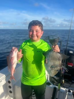 Red Snapper, Triggerfish Fishing in Mount Pleasant, South Carolina