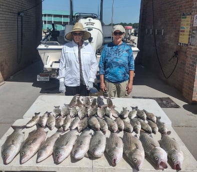 Blue Catfish, Striped Bass fishing in Runaway Bay, Texas