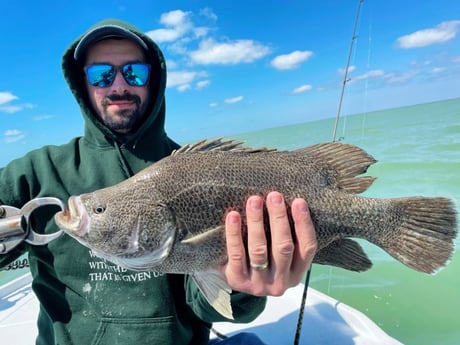 Tripletail Fishing in Tavernier, Florida
