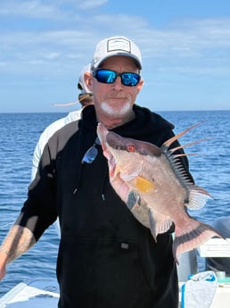 Fishing in Belleair, Florida