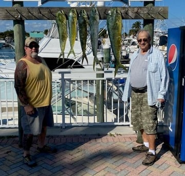 Mahi Mahi / Dorado Fishing in Fort Pierce, Florida