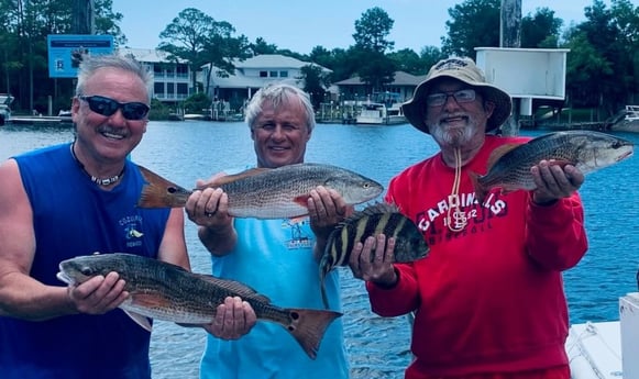 Redfish fishing in Niceville, Florida
