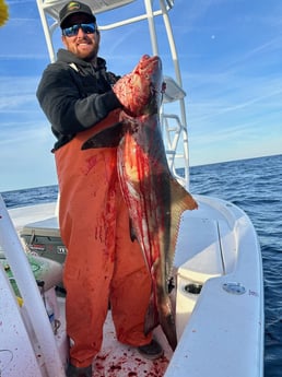 Cobia Fishing in Jacksonville, Florida