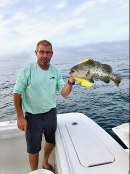 Gag Grouper fishing in Wilmington, North Carolina