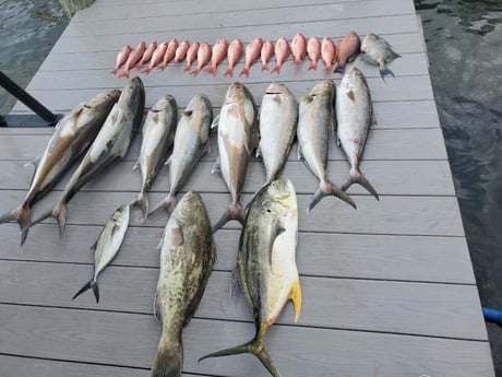 Amberjack, Jack Crevalle, Mangrove Snapper, Vermillion Snapper Fishing in Port Orange, Florida