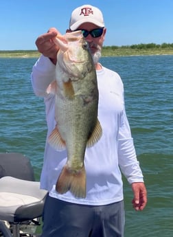 Largemouth Bass fishing in Zapata, Texas