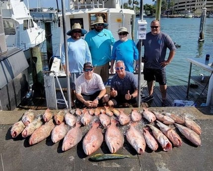 Lane Snapper, Mahi Mahi, Red Grouper, Red Snapper Fishing in Clearwater, Florida