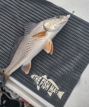 Redfish Fishing in Brunswick, Georgia