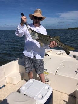 Snook fishing in Cedar Key, Florida