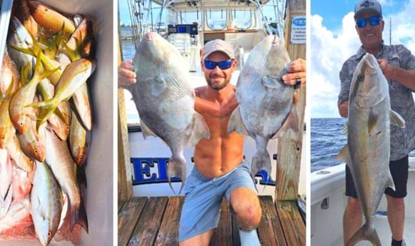 Amberjack, Triggerfish, Yellowtail Snapper Fishing in Clearwater, Florida