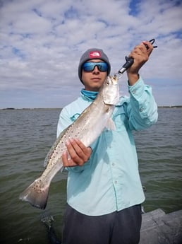 Speckled Trout / Spotted Seatrout fishing in Baytown, Texas