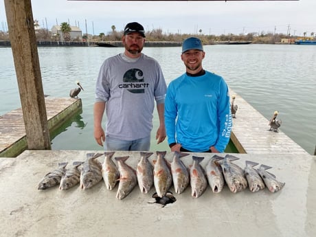 Black Drum, Redfish fishing in Ingleside, Texas