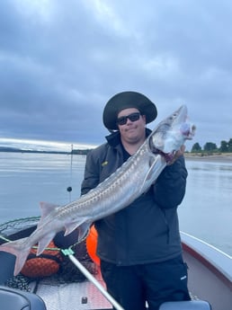 Sturgeon Fishing in Garibaldi, Oregon
