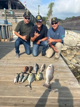 Florida Pompano, Mangrove Snapper, Redfish, Spanish Mackerel Fishing in Orange Beach, Alabama