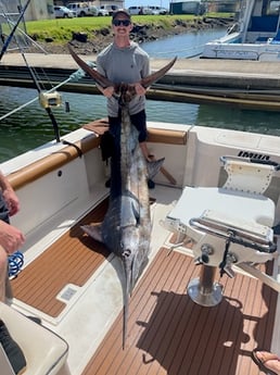 Black Marlin Fishing in Lihue, Hawaii