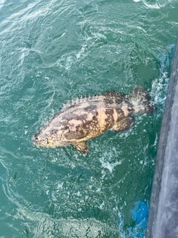 Fishing in Wellington, Florida