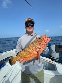 Strawberry Grouper Fishing in Key West, Florida